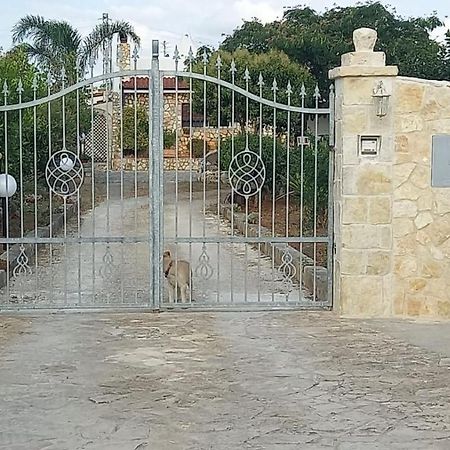Casetta Albizia San Vito dei Normanni Esterno foto