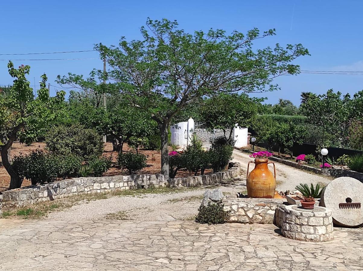 Casetta Albizia San Vito dei Normanni Esterno foto