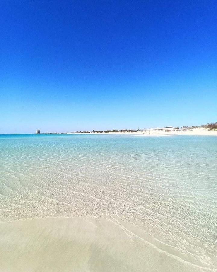 Casetta Albizia San Vito dei Normanni Esterno foto